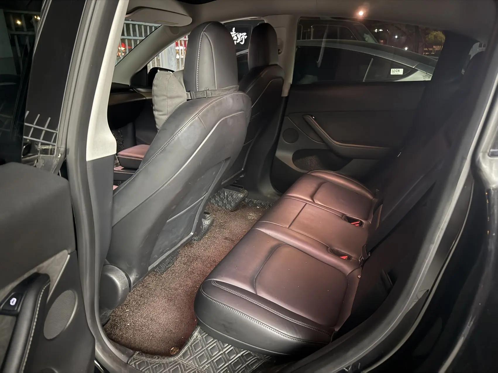 Model Y 2021 Standard Endurance Rear Drive Edition 3