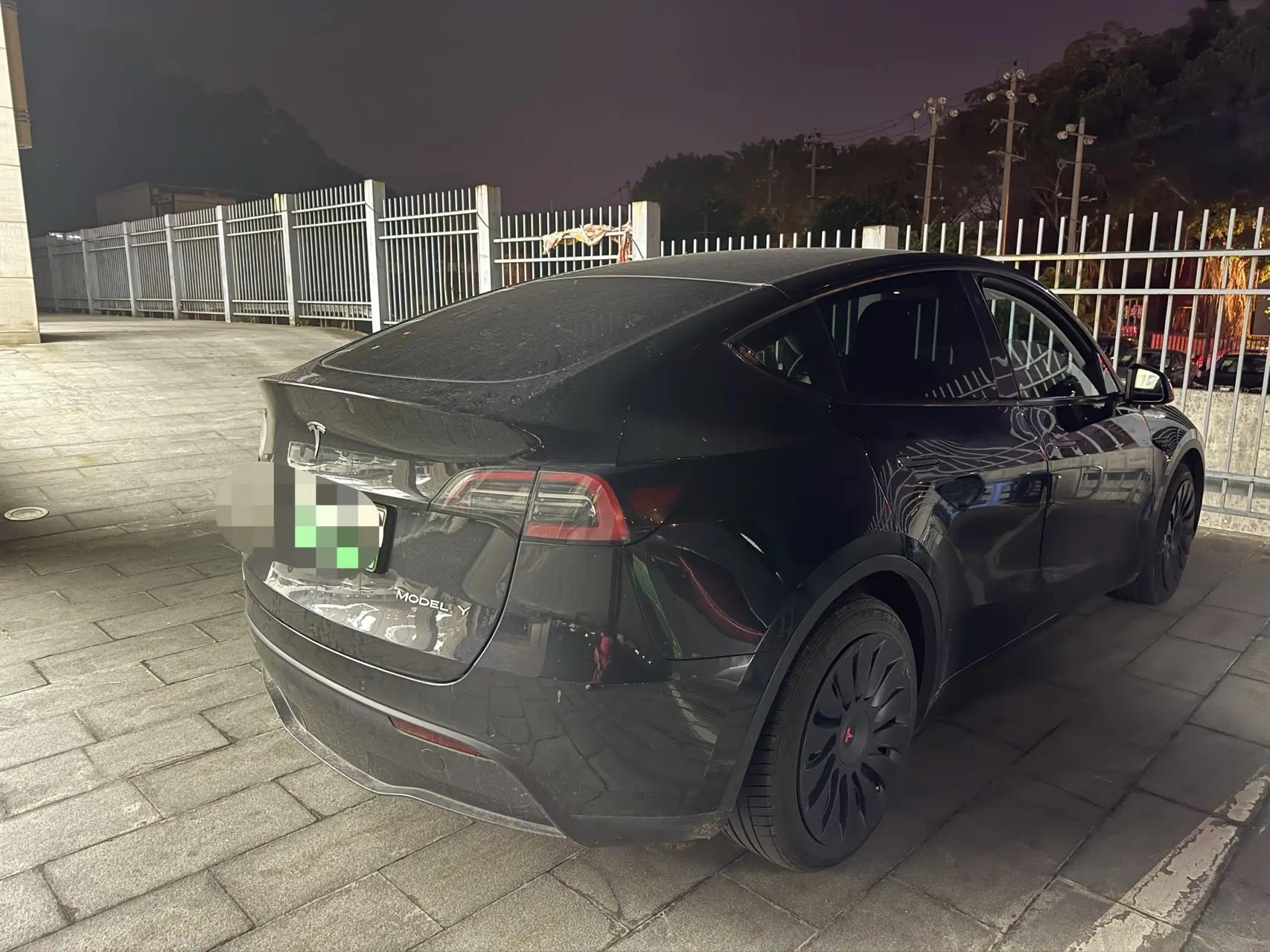 Model Y 2021 Standard Endurance Rear Drive Edition 6