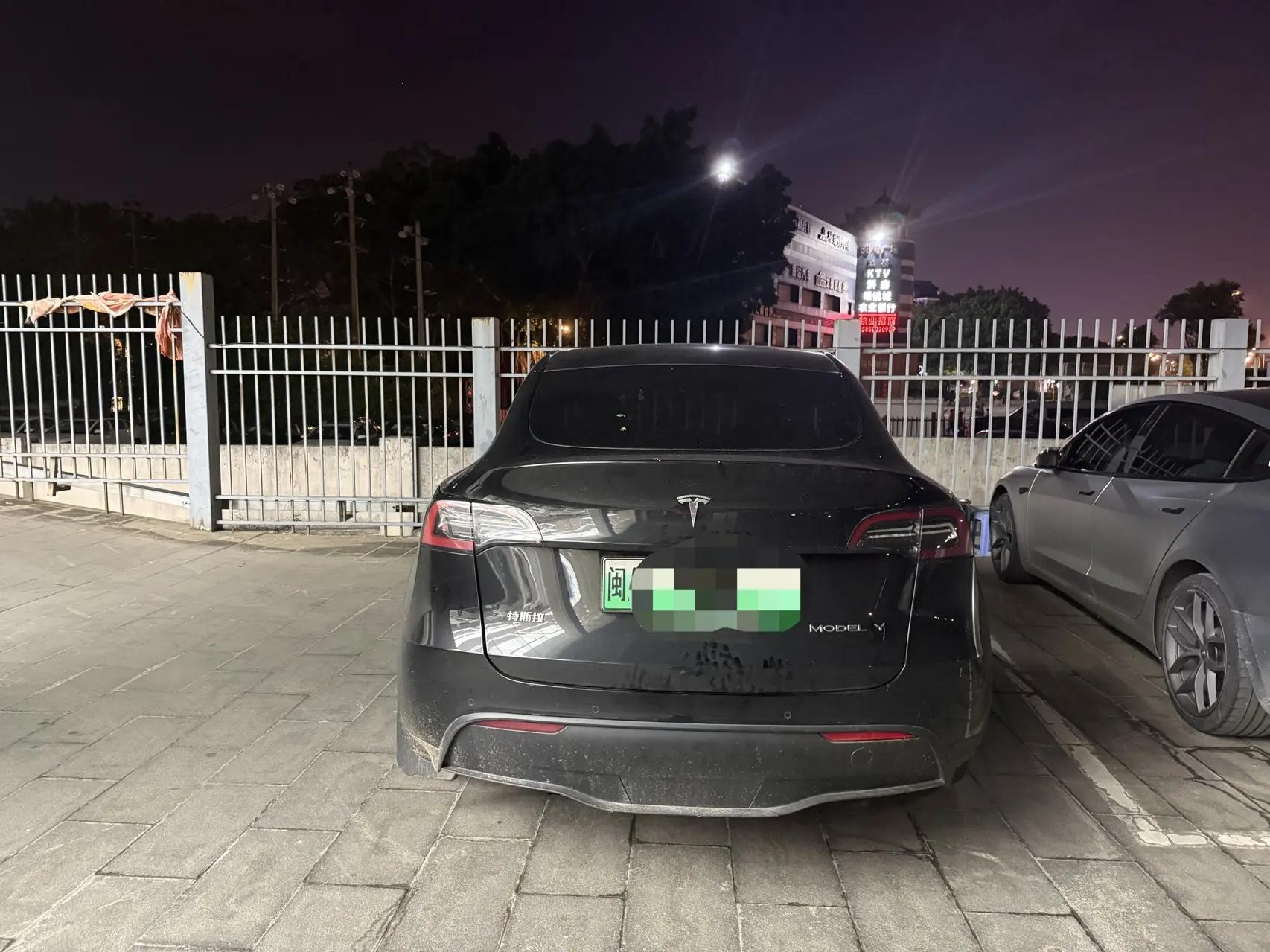 Model Y 2021 Standard Endurance Rear Drive Edition 7