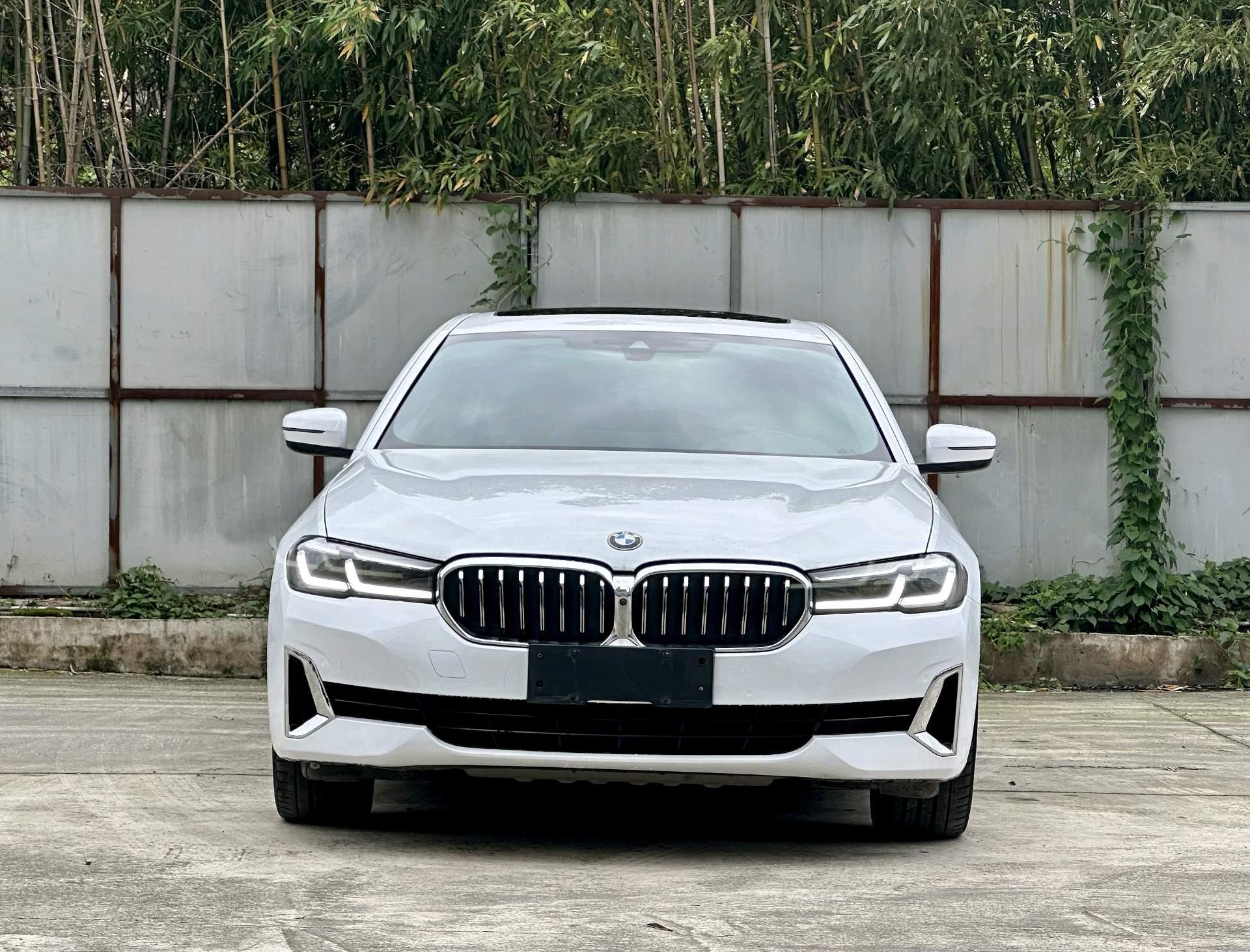 BMW 5 Series 2021 525Li Deluxe Suit 2
