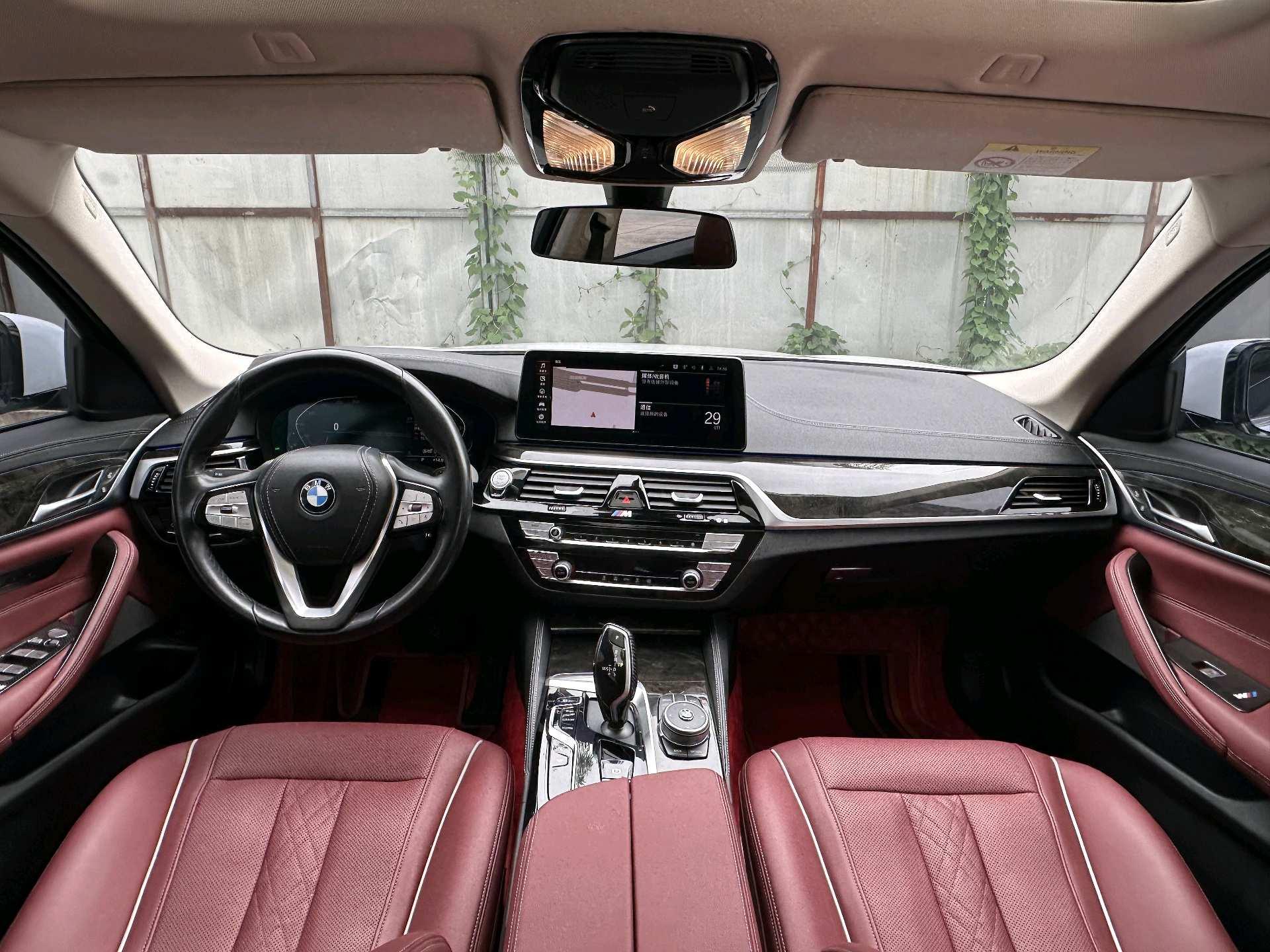 BMW 5 Series 2021 525Li Deluxe Suit 5
