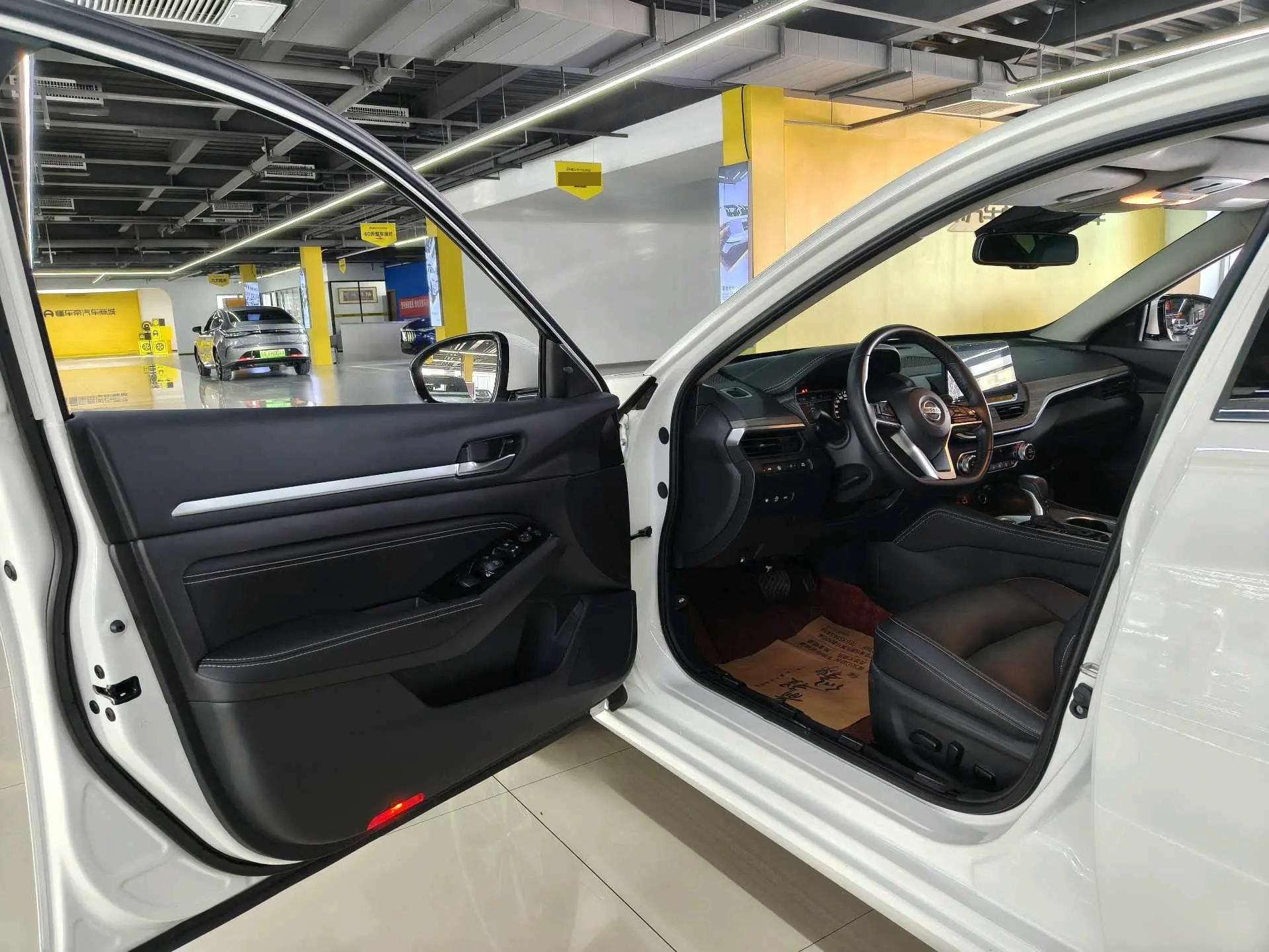 Tianlai 2021 2.0L XL Upper AD1 Intelligent Drive Edition 4