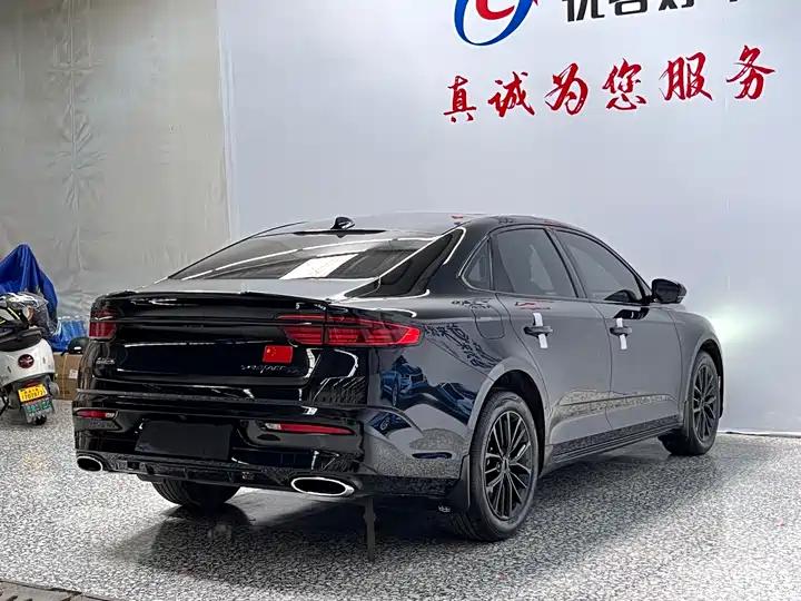 Xingrui 2023 1.5TD Fuyao Edition 17