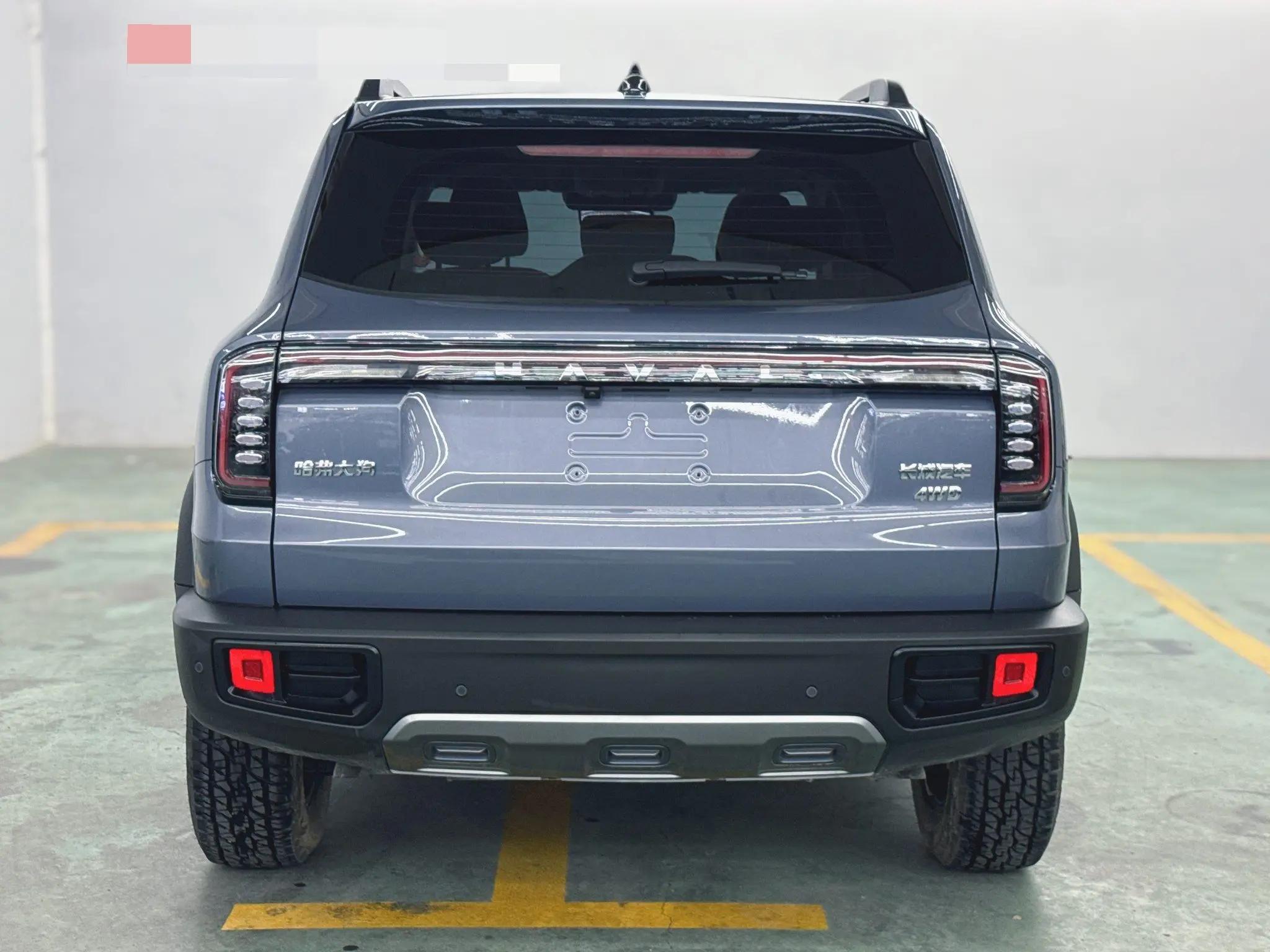 Haval 2024 big dog 2.0T Chinese garden dog version automatic gear 7