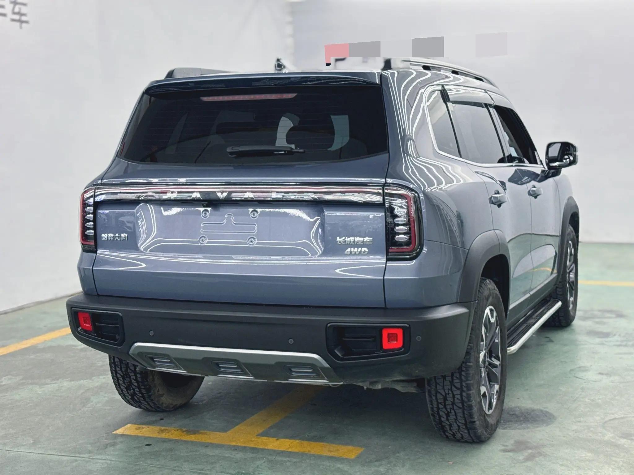 Haval 2024 big dog 2.0T Chinese garden dog version automatic gear 9