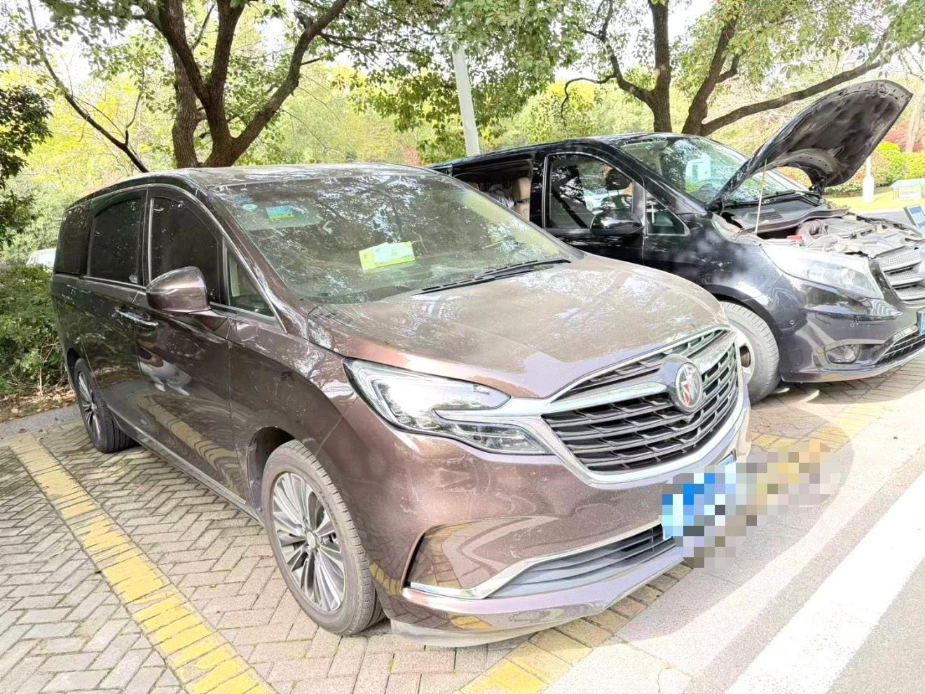 Buick GL8 2021 ES Lu Zun 653T Flagship 2