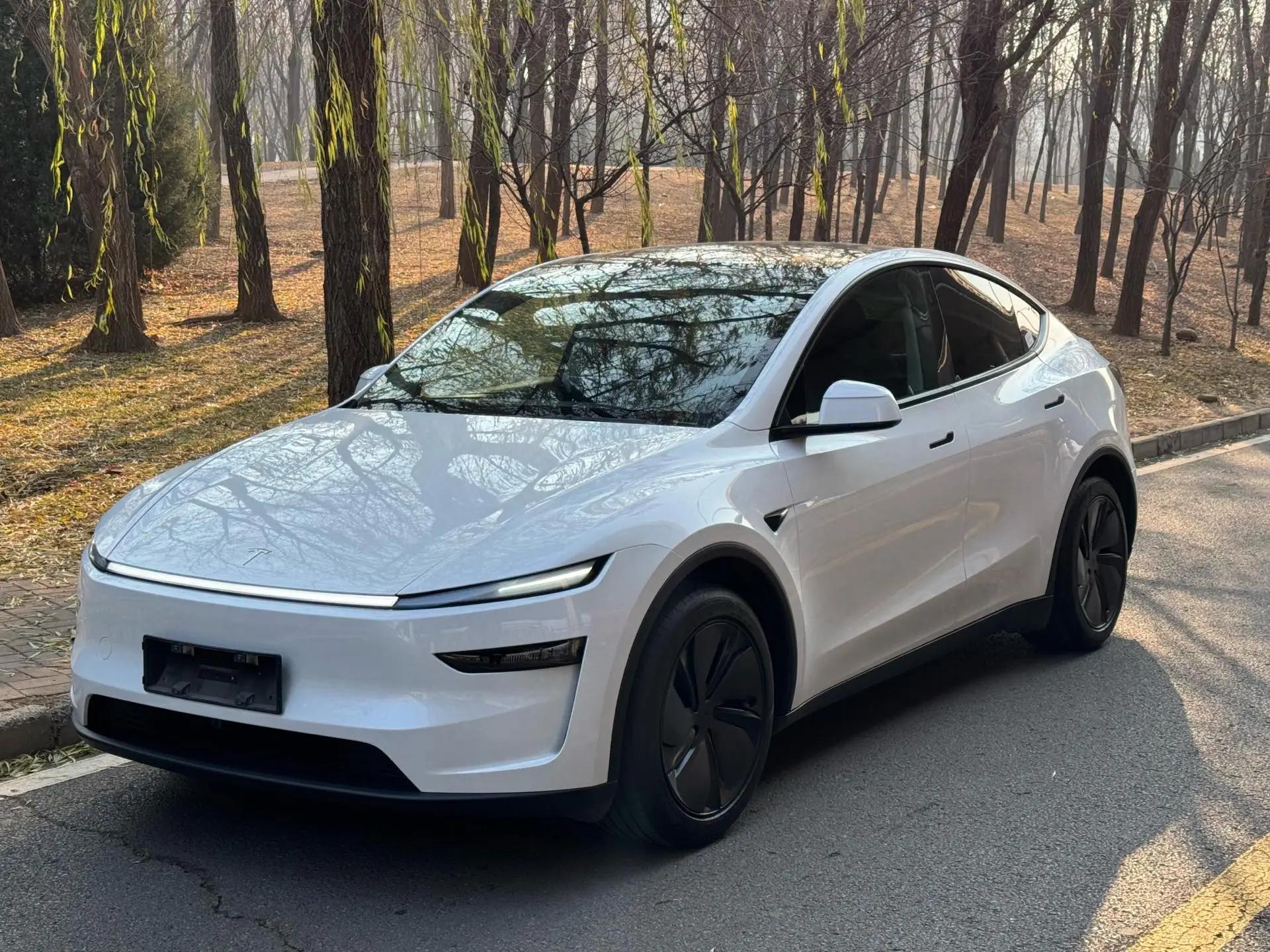 Tesla 2025 Model Y Rear-Wheel Drive Automatic