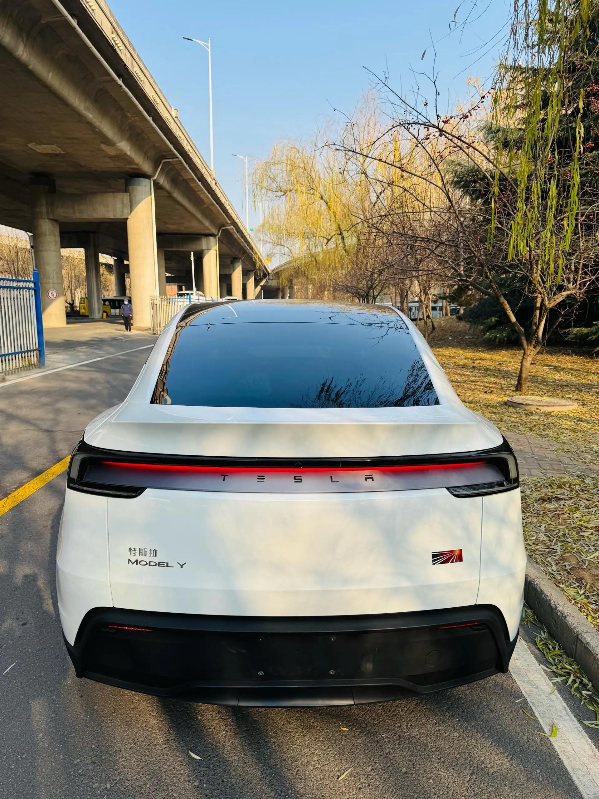 Tesla 2025 Model Y Rear-Wheel Drive Automatic 6