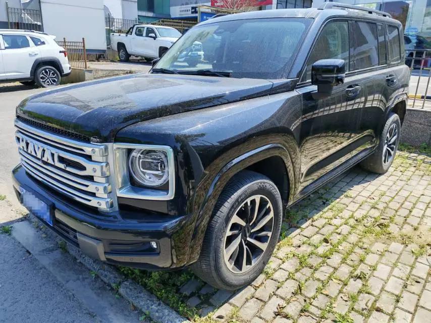 Haval 2024 H9 2.0T Four-Wheel Drive Extreme Edition Automatic