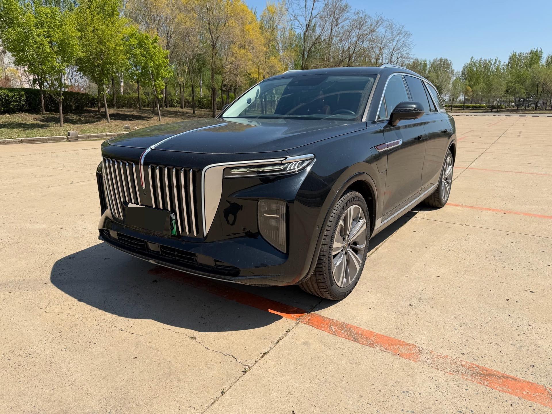 HongQi E-HS9 2021 460km Flag Edition 6