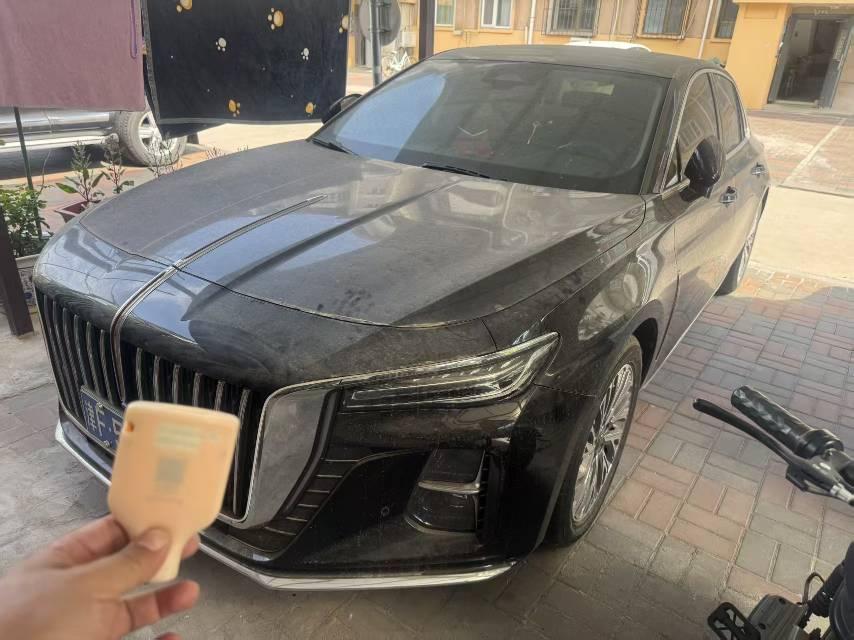 HongQi H5 2023 2.0T Auto Zhilian Flag Collar Edition