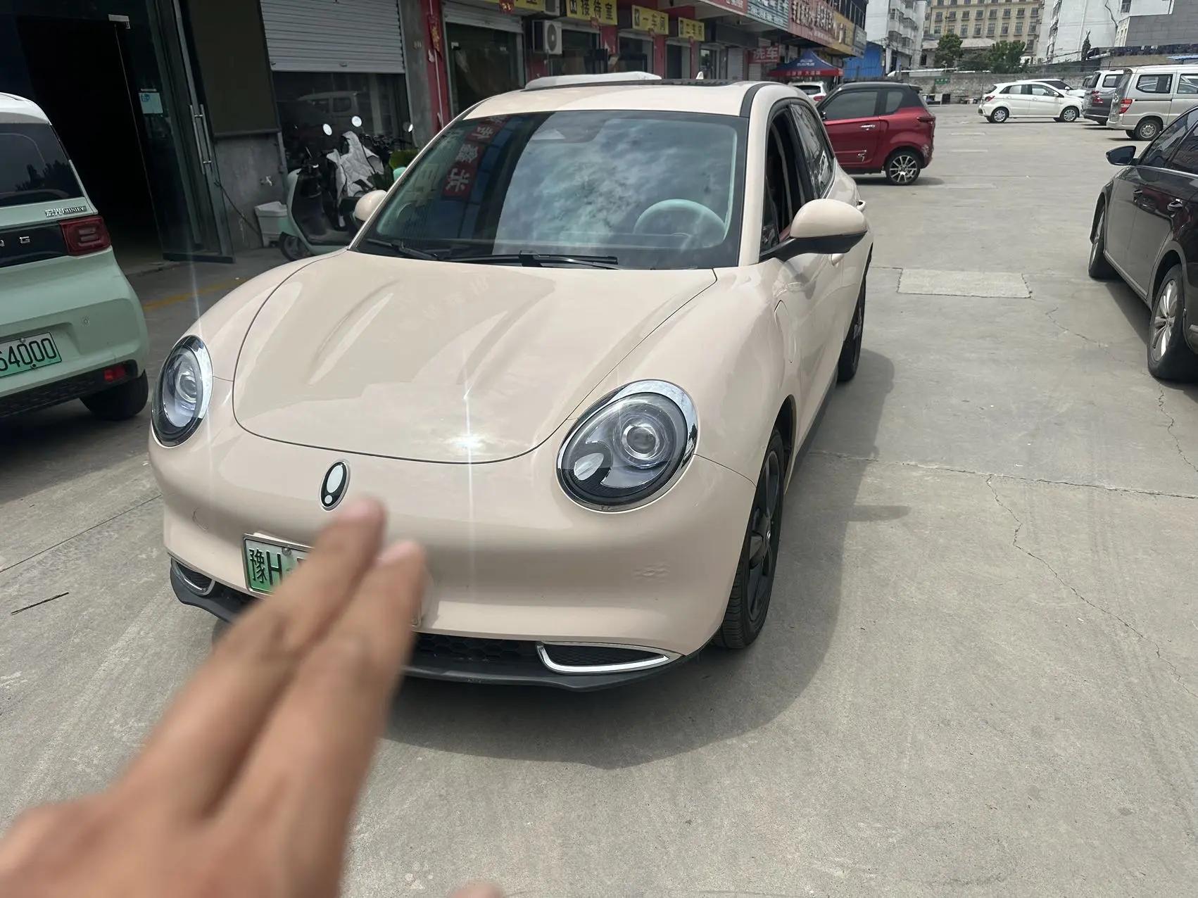Ora good cat 2024 401km luxury model