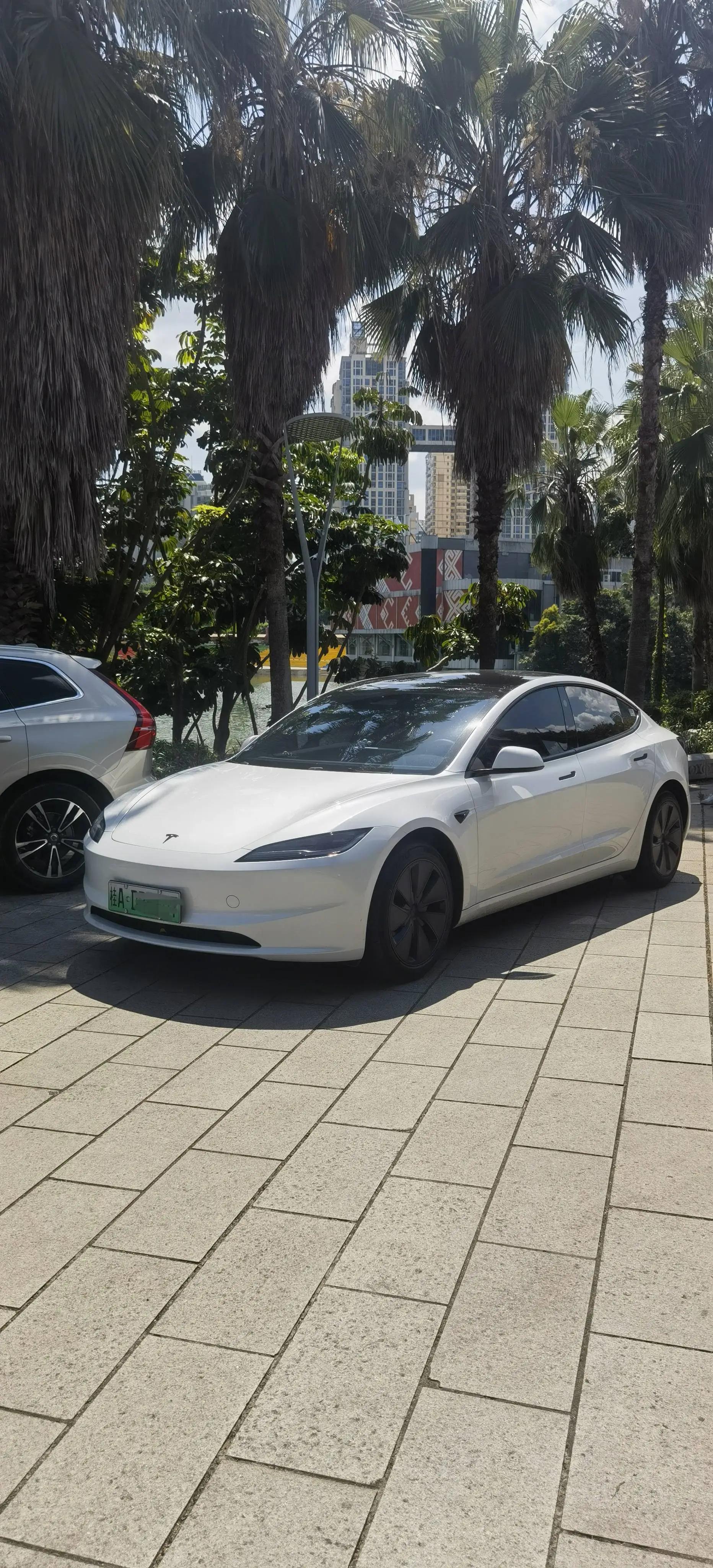 Model 3 2023 Rear-Wheel Drive Edition