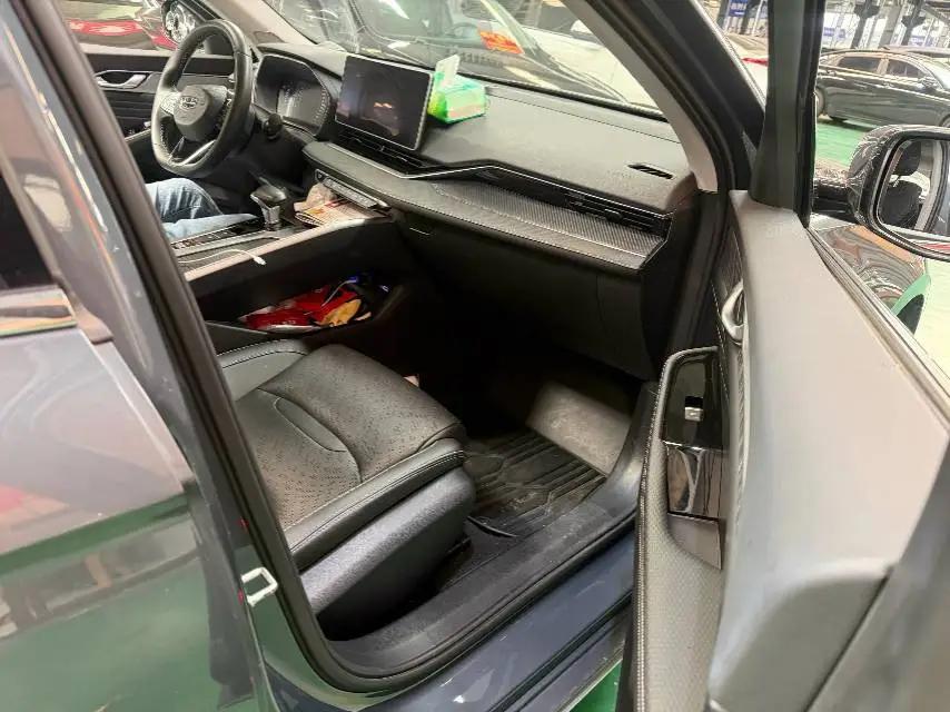Xingrui 2023 2.0TD Luxury Edition 2