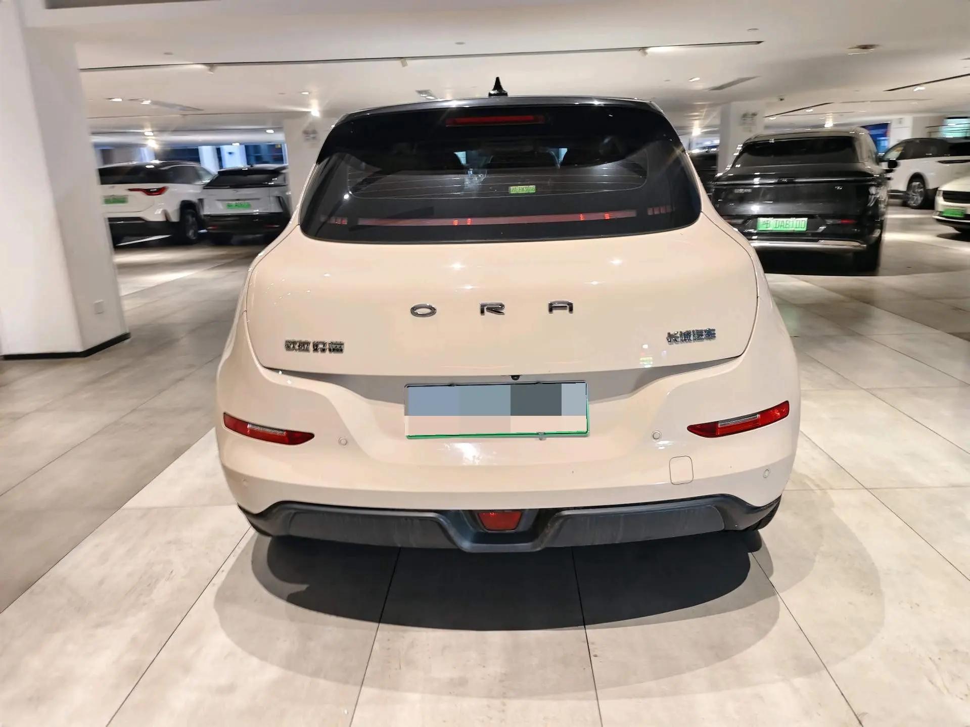 Ora Good Cat 2022 Morandi Edition 400km Standard Endurance Luxury Lithium Iron Phosphate 8