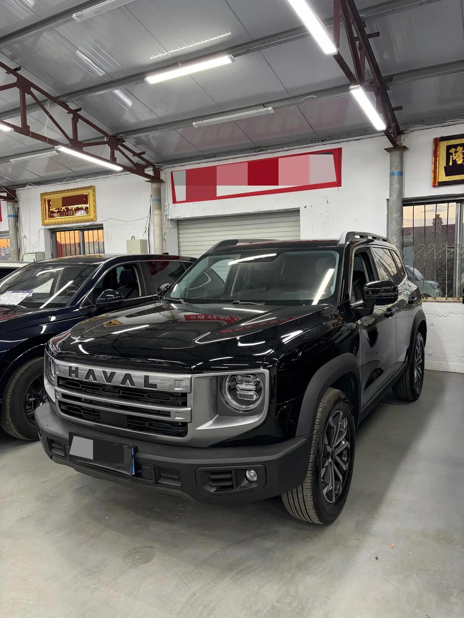 Haval 2024 Dog 1.5T Border Collie Edition Automatic