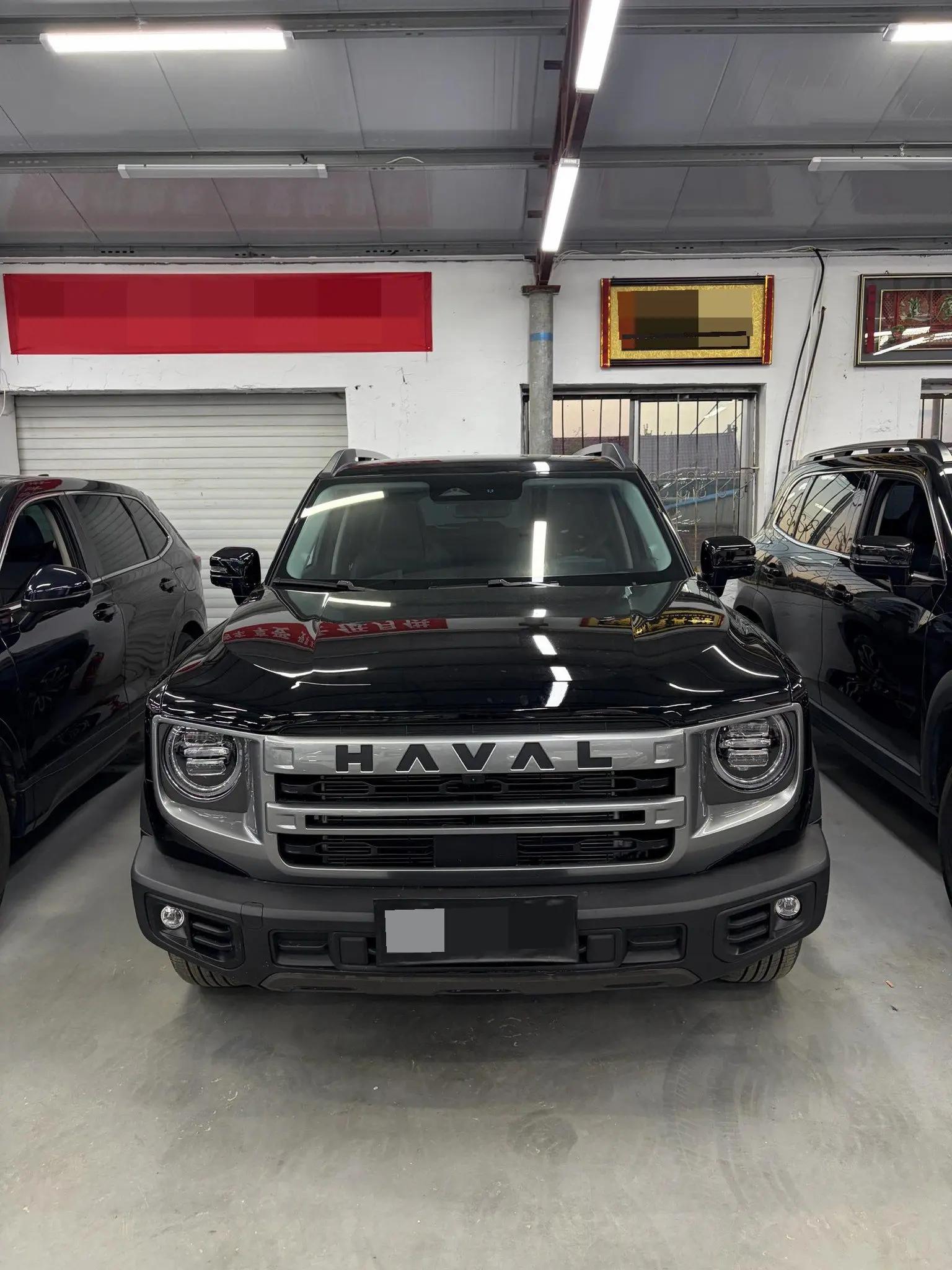 Haval 2024 Dog 1.5T Border Collie Edition Automatic 2