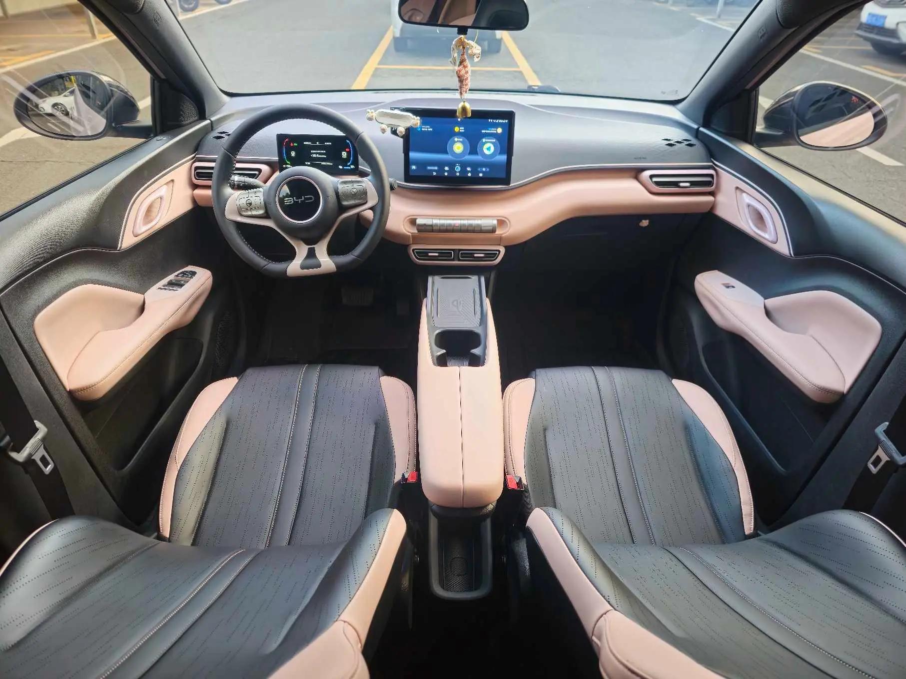 BYD 2024 Seagull Glory Edition 305km Free Version Automatic 9