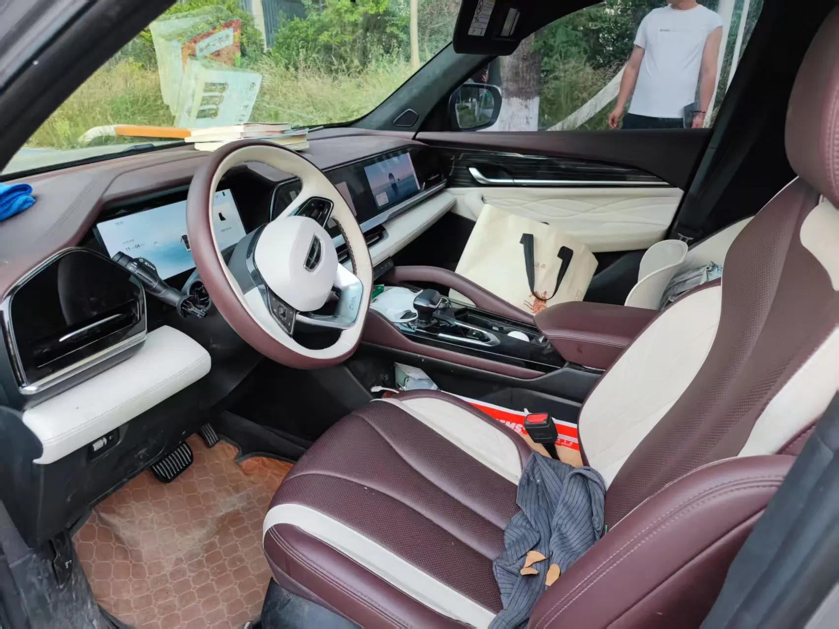 XingyueL (Monjaro) 2024 model, 2.0TD high-power automatic two-wheel-drive Cloud Rising Edition 2
