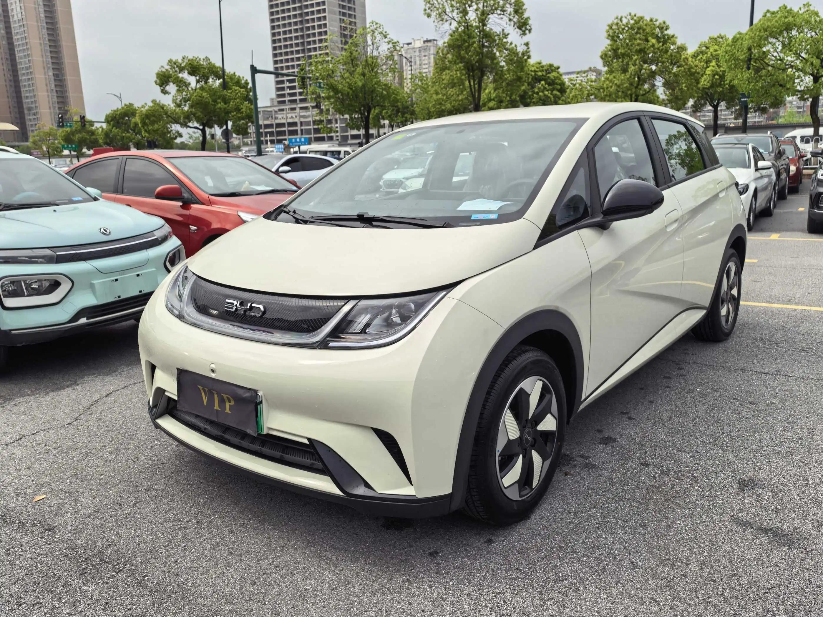 BYD 2025 Dolphin 420km Freedom Edition Automatic