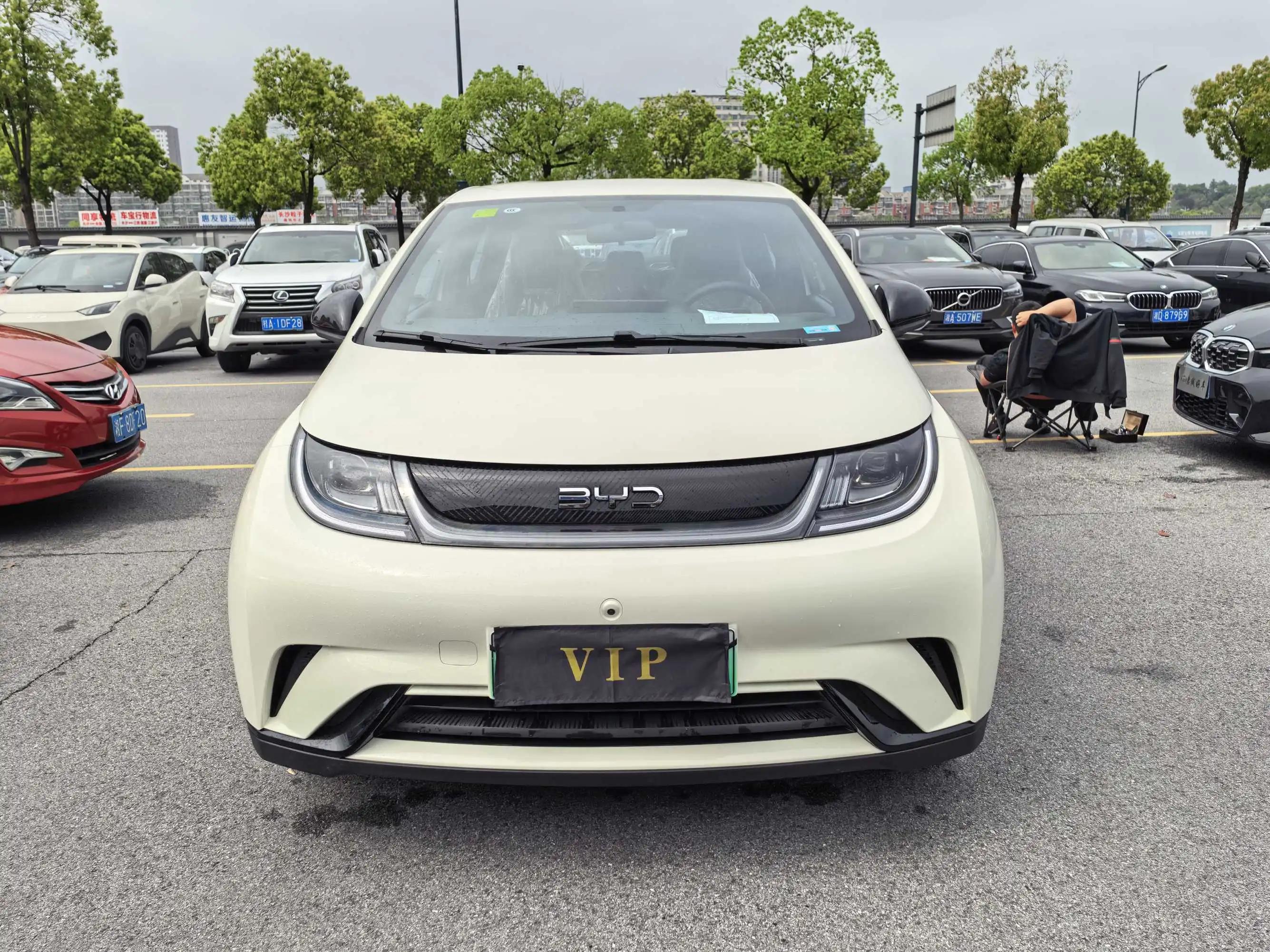 BYD 2025 Dolphin 420km Freedom Edition Automatic 2