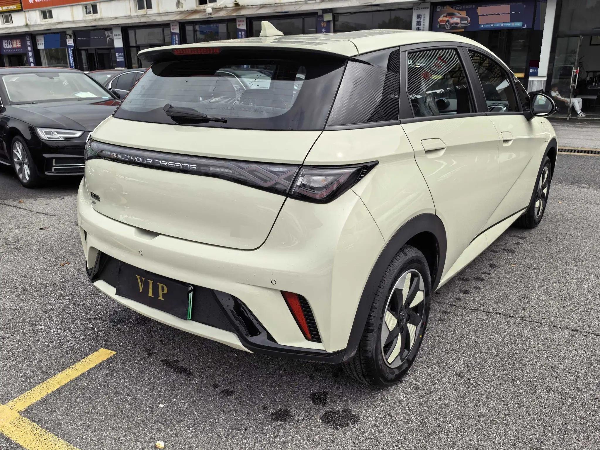 BYD 2025 Dolphin 420km Freedom Edition Automatic 7