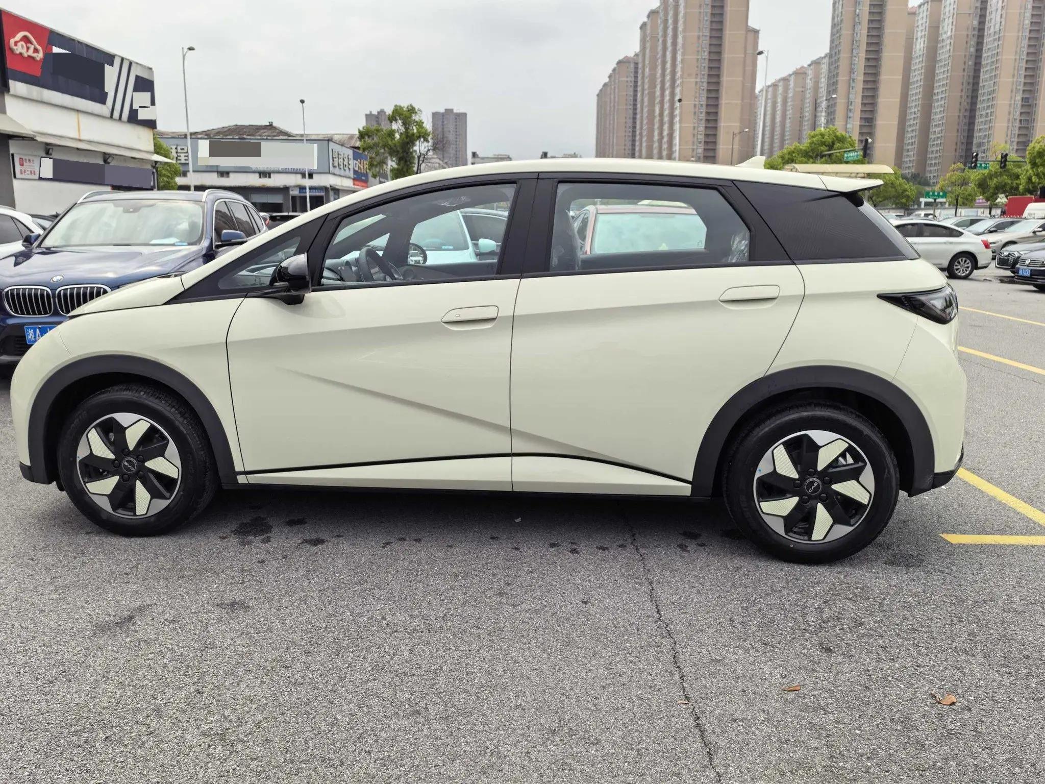 BYD 2025 Dolphin 420km Freedom Edition Automatic 8