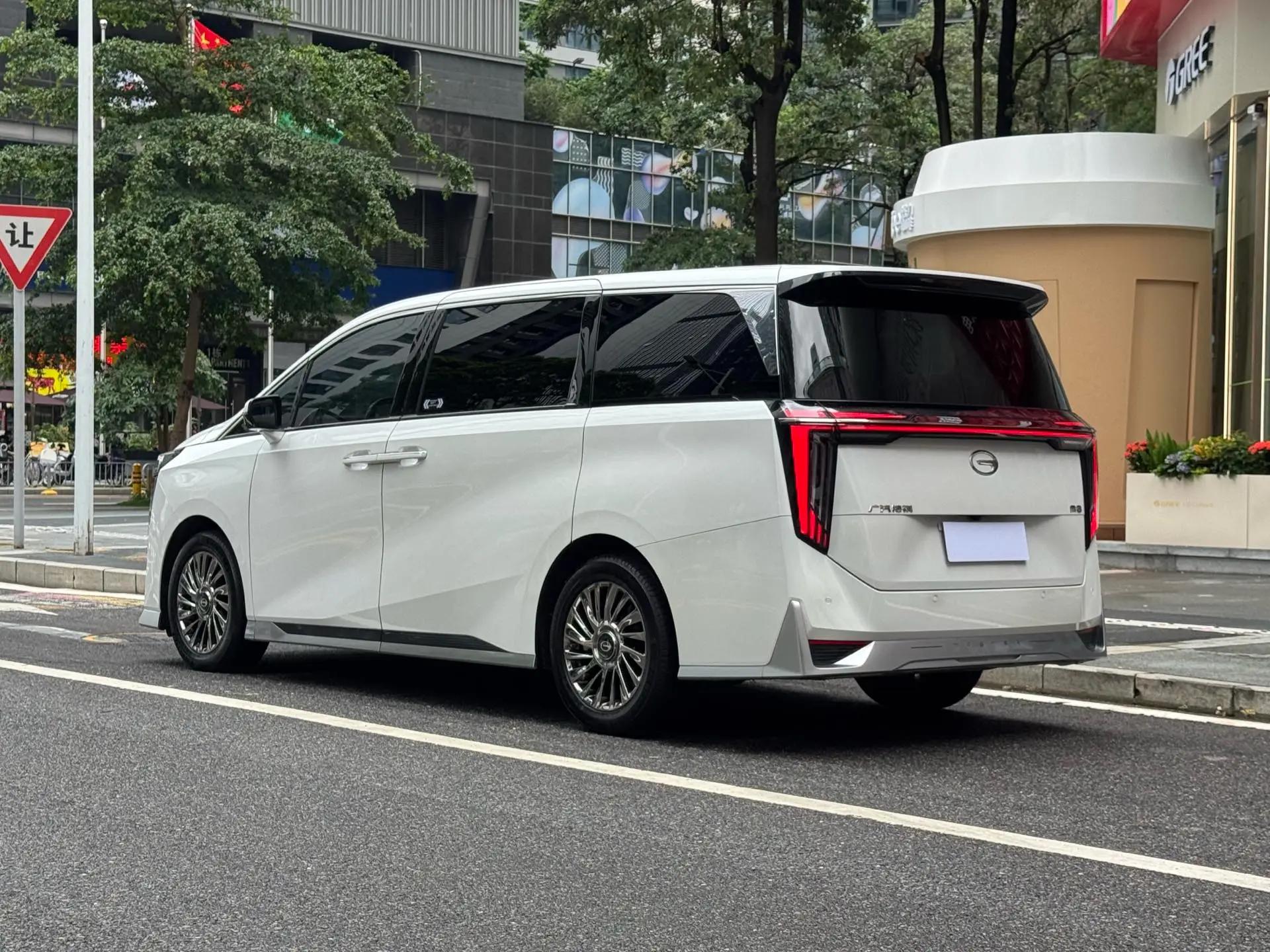 Chuanqi M8 2024 2.0TGDI Basic Model 19