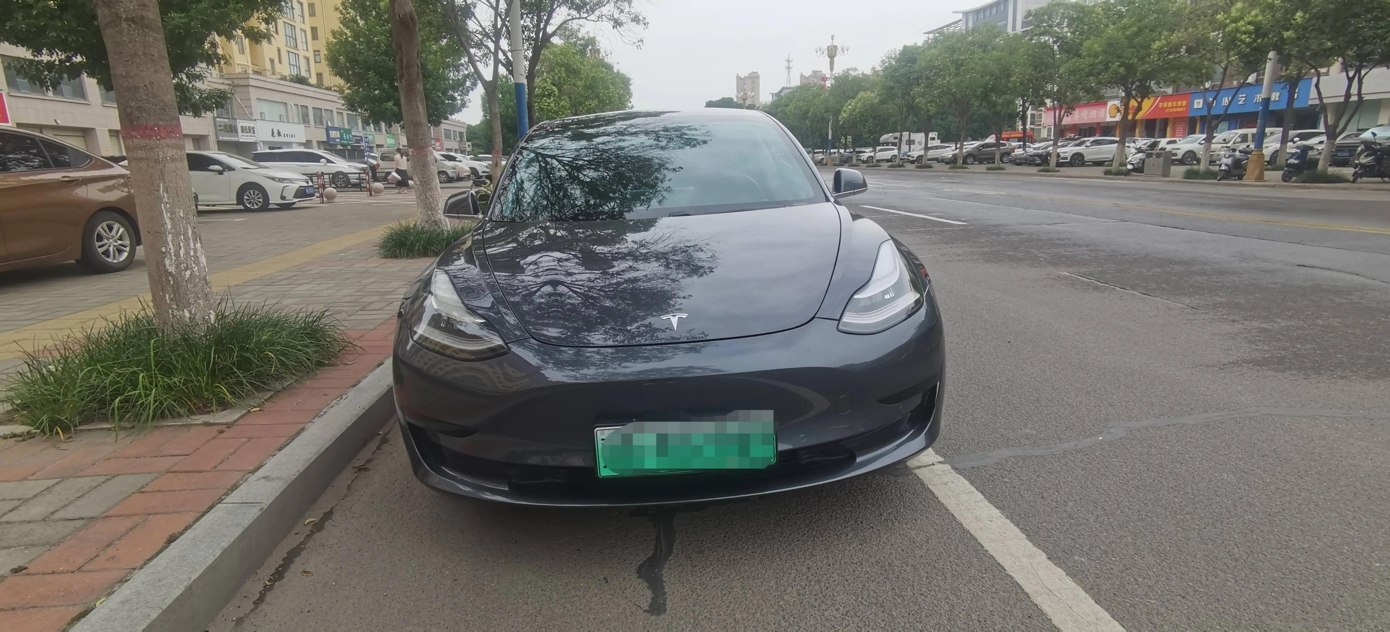 Model 3 2019 Standard Endurance Rear Drive Upgrade 3