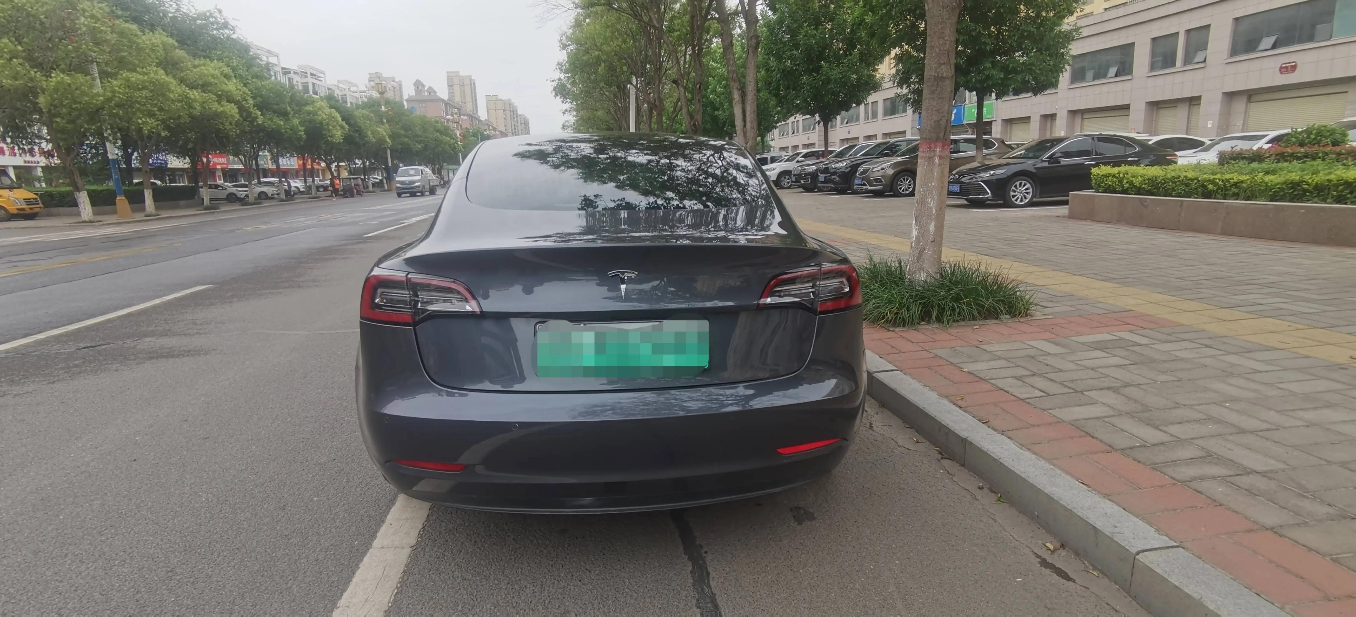 Model 3 2019 Standard Endurance Rear Drive Upgrade 5