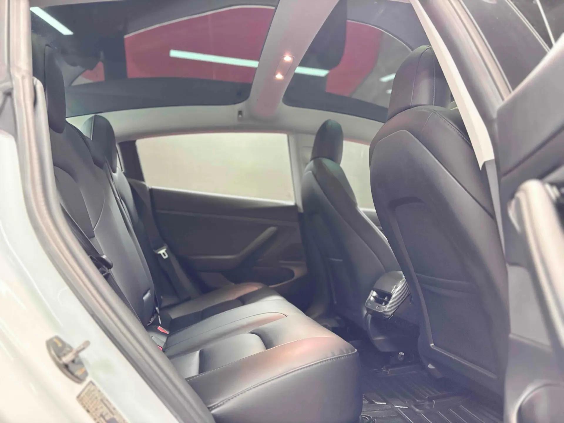 Model 3 2020 Standard Endurance Rear Drive Upgrade 6
