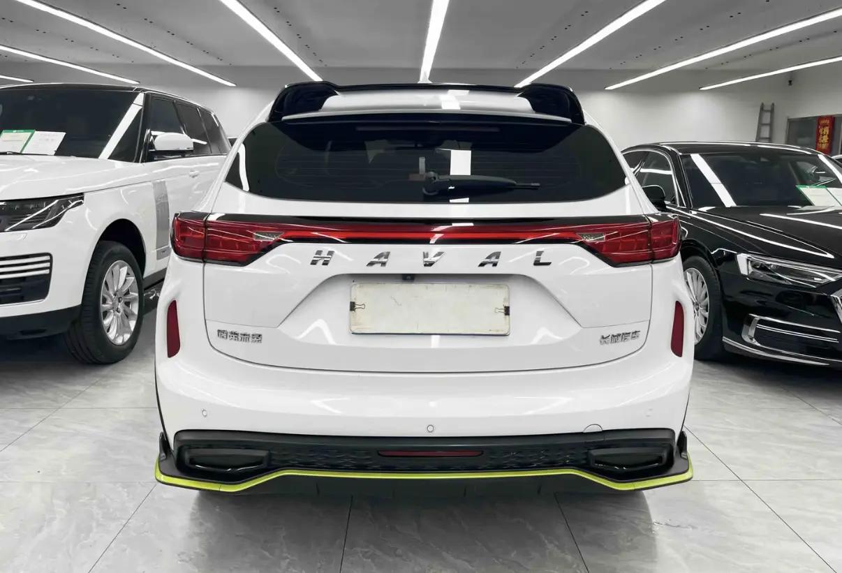 Haval Red Rabbit 2022 Jin Xiang Edition 1.5T Copper Rabbit 4