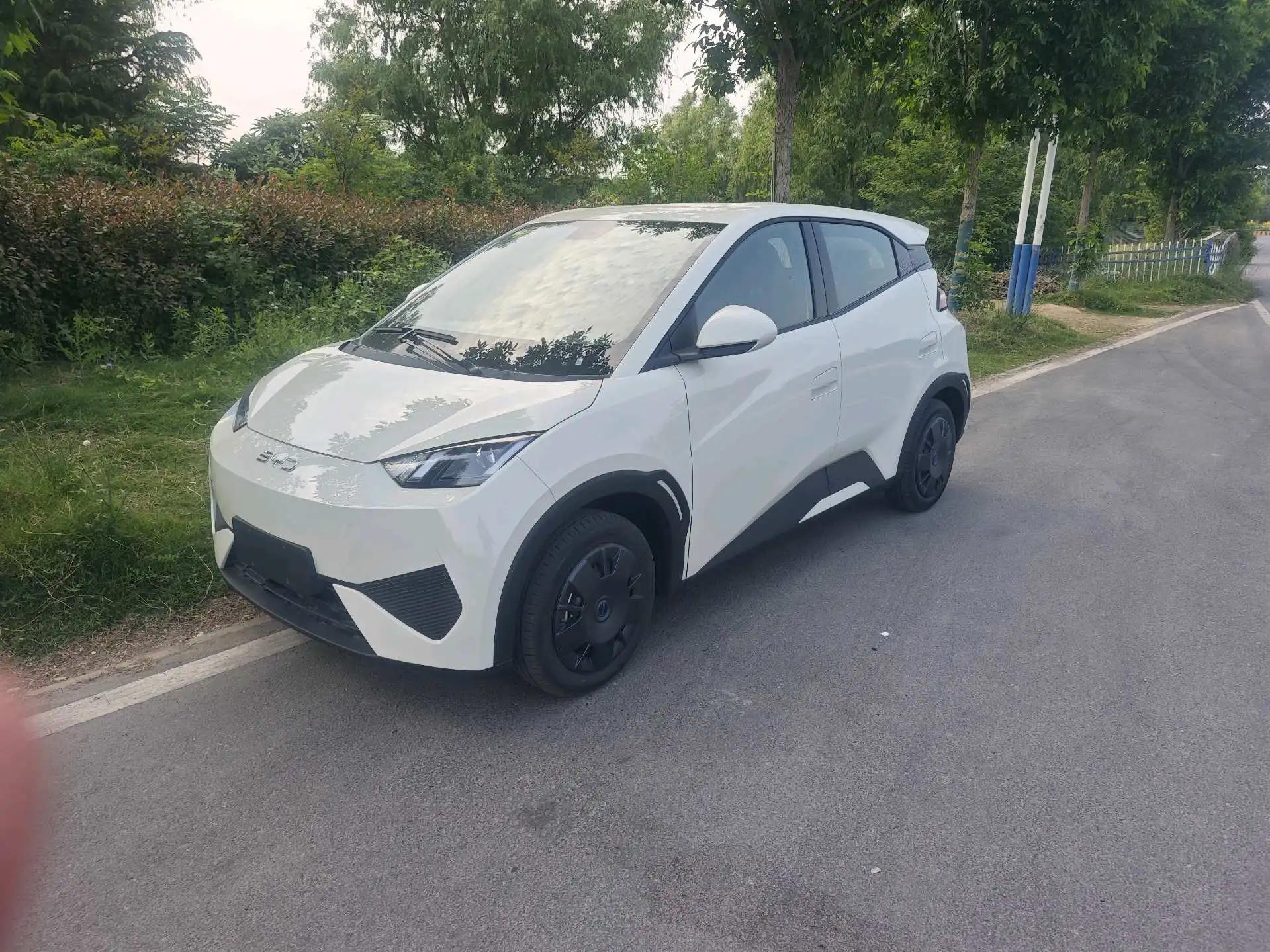 BYD 2025 Seagull Intelligent Driving Edition 305km Vitality Edition Automatic