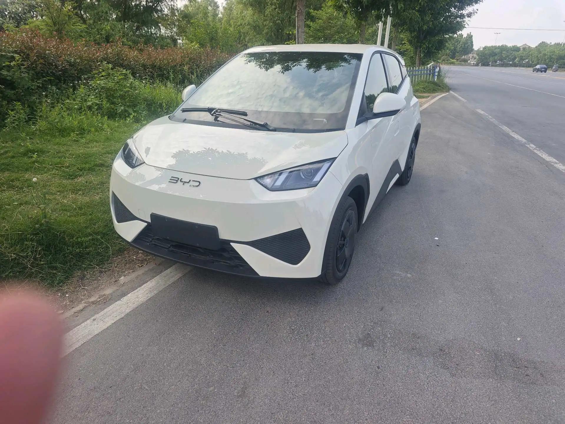 BYD 2025 Seagull Intelligent Driving Edition 305km Vitality Edition Automatic 2
