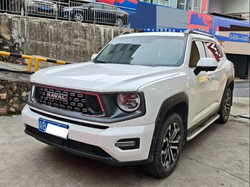 Haval 2023 Dog 2.0T Two-Wheel Drive Chao Ye Edition Plus Automatic