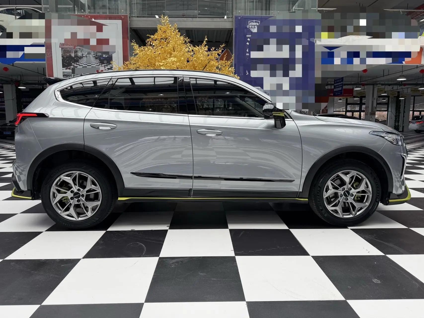 Haval Red Rabbit 2022 Jin Xiang Edition 1.5T Copper Rabbit 5