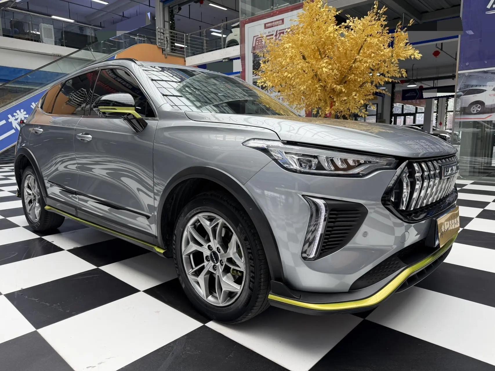 Haval Red Rabbit 2022 Jin Xiang Edition 1.5T Copper Rabbit 8