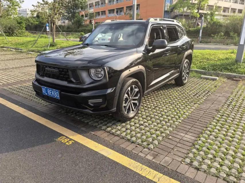Haval 2023 Dog 1.5T Two-Wheel Drive Chao Ye Edition Plus Automatic