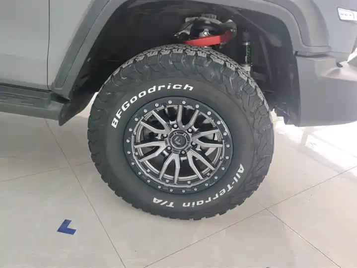Tank 300 2021 Off-road Edition 2.0T Conqueror 6
