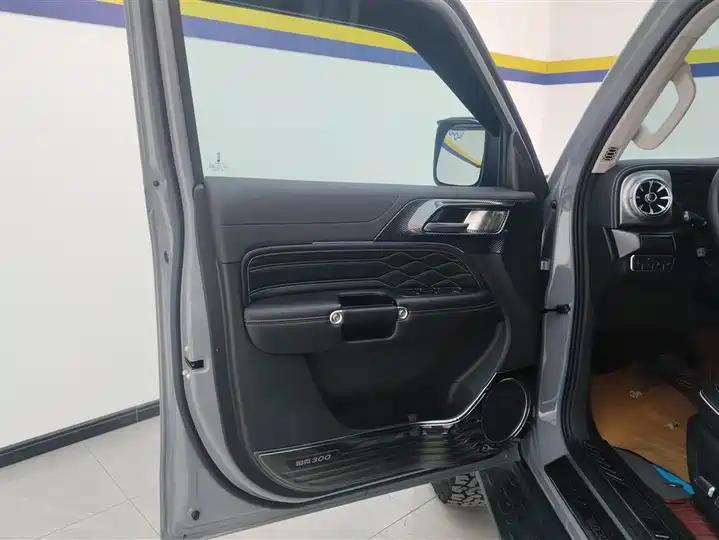 Tank 300 2021 Off-road Edition 2.0T Conqueror 7