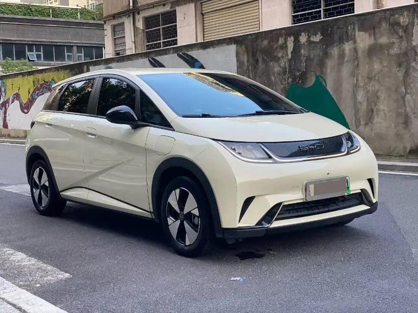 BYD 2023 Dolphin 420km Freedom Edition Automatic 2