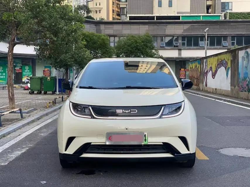 BYD 2023 Dolphin 420km Freedom Edition Automatic 3