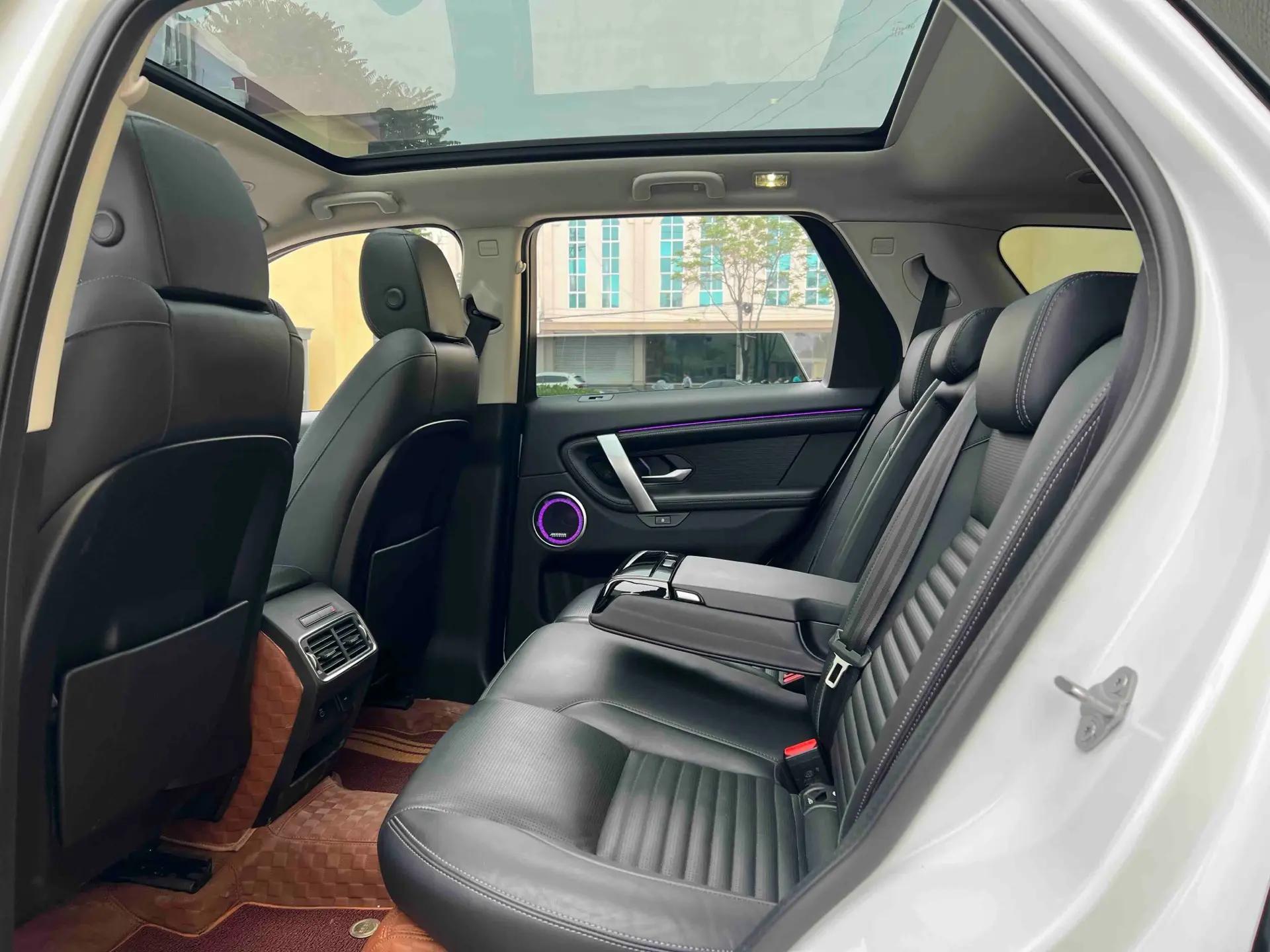Discover Sport 2024 Deluxe Custom Edition 5