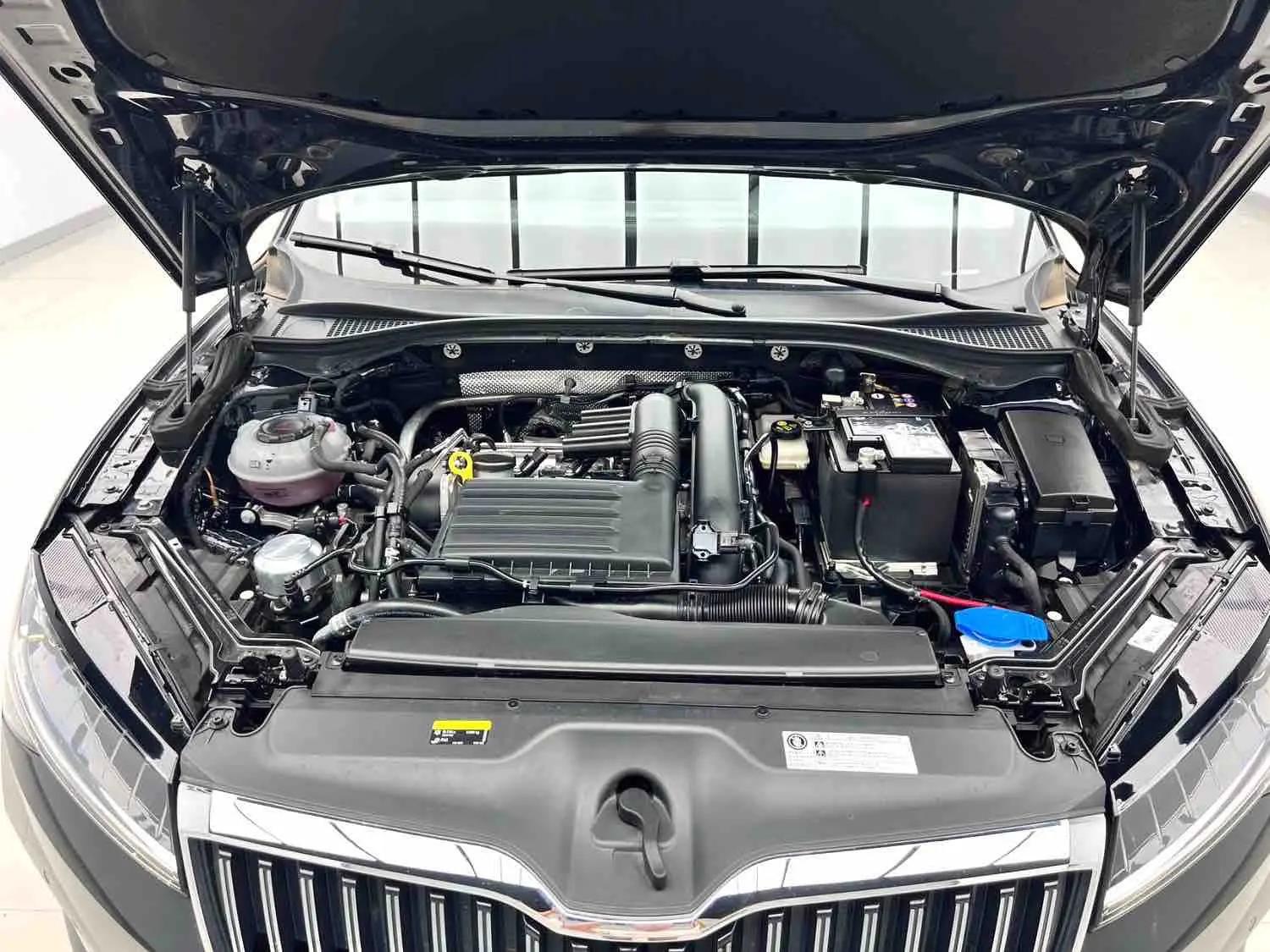 Express 2024 TSI280 DSG Premium Edition 15
