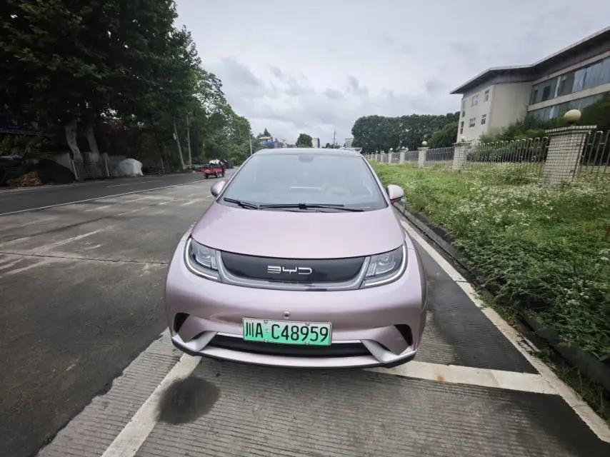 BYD 2023 Dolphin 420km Fashion Edition Automatic 2