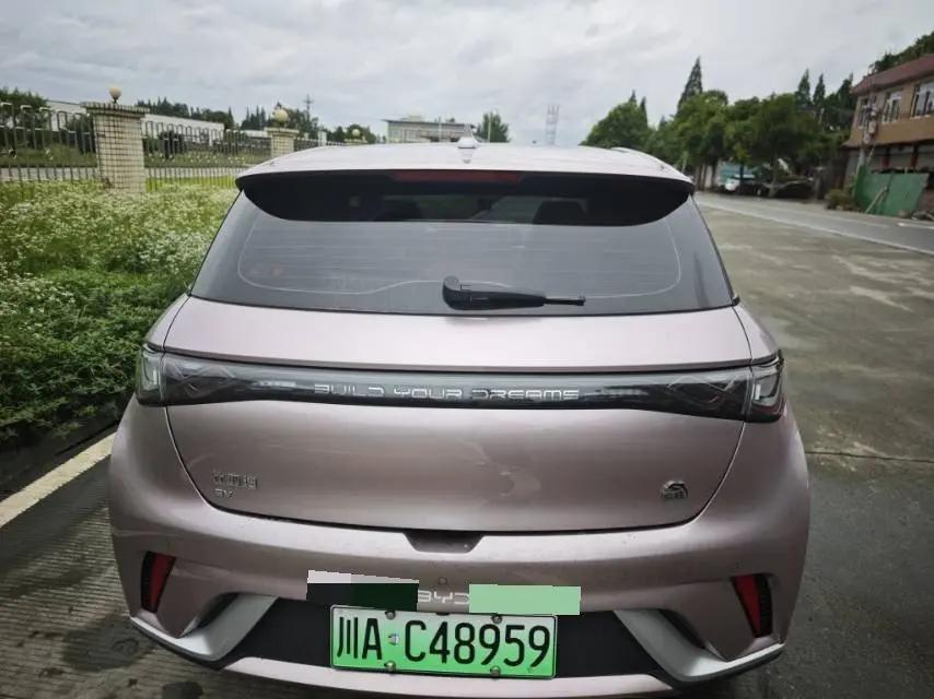BYD 2023 Dolphin 420km Fashion Edition Automatic 4