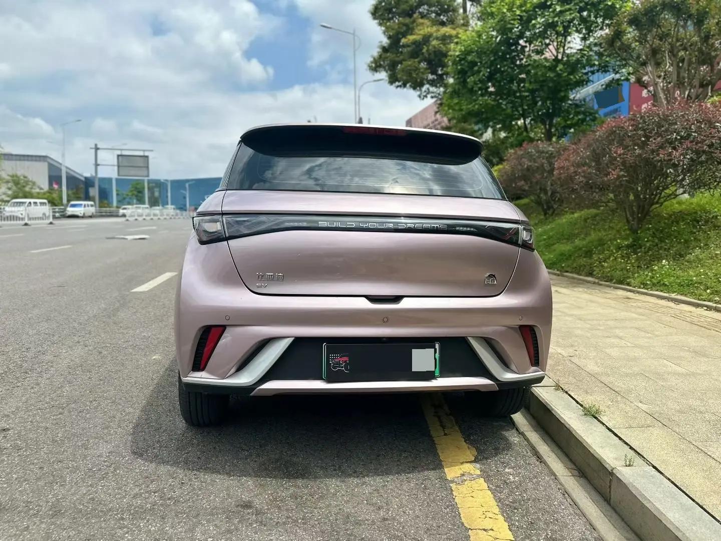 Dolphin 2021 405km Fashion Edition 4