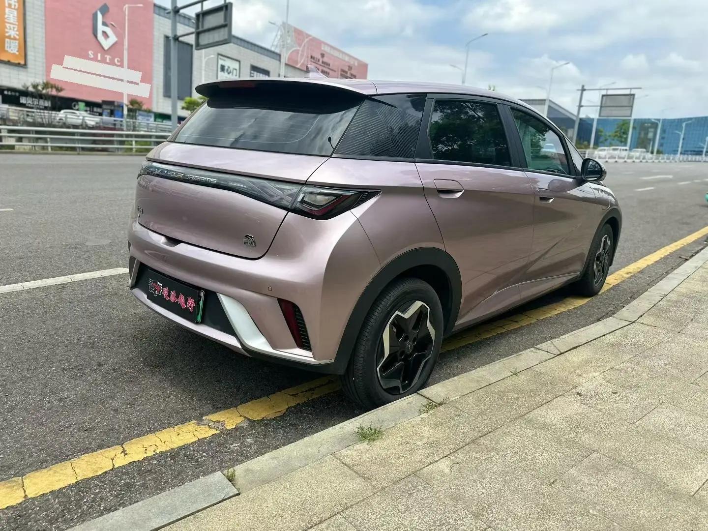 Dolphin 2021 405km Fashion Edition 6