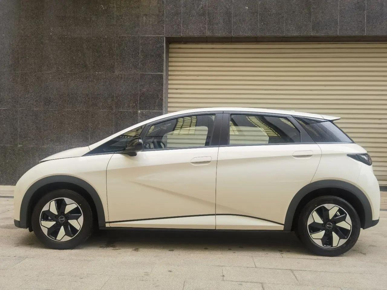 BYD 2025 Dolphin 420km Vital Edition Automatic Gear 4