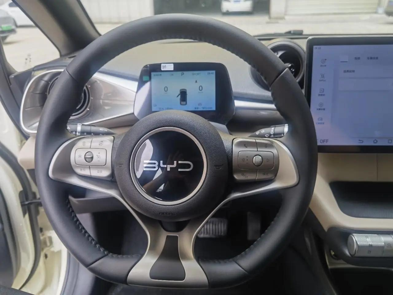 BYD 2025 Dolphin 420km Vital Edition Automatic Gear 8